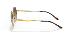 RAY-BAN RB 3682 001/13 51 19 145 3N KADIN GÜNEŞ GÖZLÜĞÜ